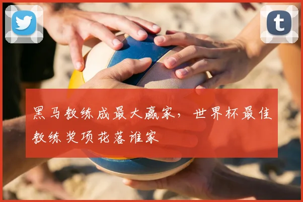 黑马教练成最大赢家,世界杯最佳教练奖项花落谁家