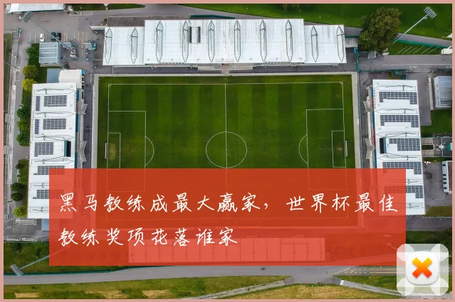 黑马教练成最大赢家，世界杯最佳教练奖项花落谁家