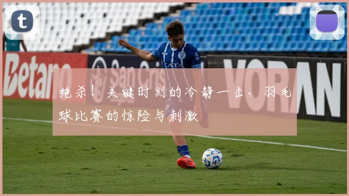 绝杀！关键时刻的冷静一击，羽毛球比赛的惊险与刺激