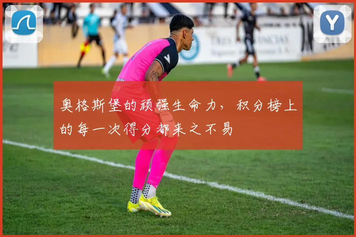奥格斯堡的顽强生命力，积分榜上的每一次得分都来之不易